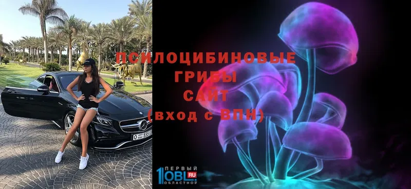 Псилоцибиновые грибы Magic Shrooms  купить  сайты  Кольчугино 